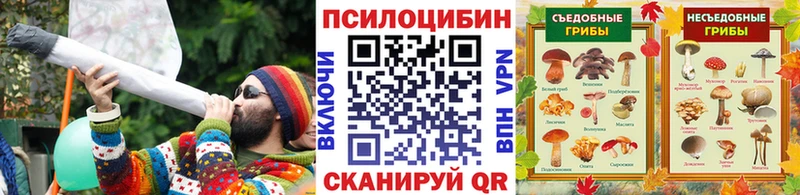 где найти наркотики  гидра рабочий сайт  Галлюциногенные грибы мицелий  Махачкала 